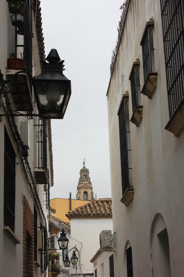 コルドバLoft Turistico En Casco Historico, Wifi Y Tv Satelite Gratisアパートメント エクステリア 写真