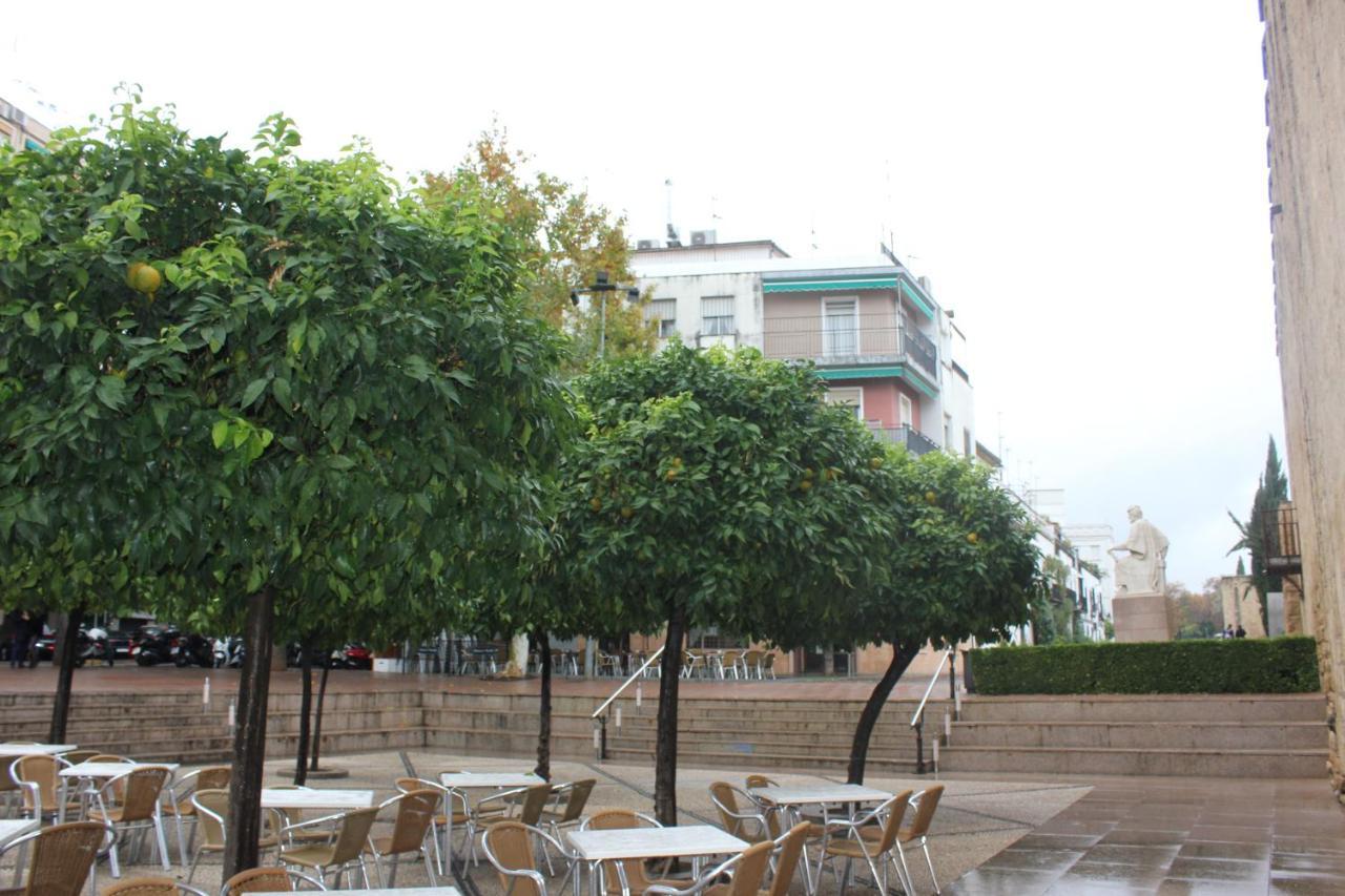 コルドバLoft Turistico En Casco Historico, Wifi Y Tv Satelite Gratisアパートメント エクステリア 写真