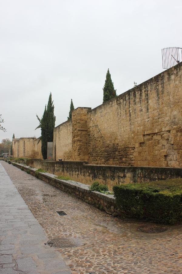 コルドバLoft Turistico En Casco Historico, Wifi Y Tv Satelite Gratisアパートメント エクステリア 写真