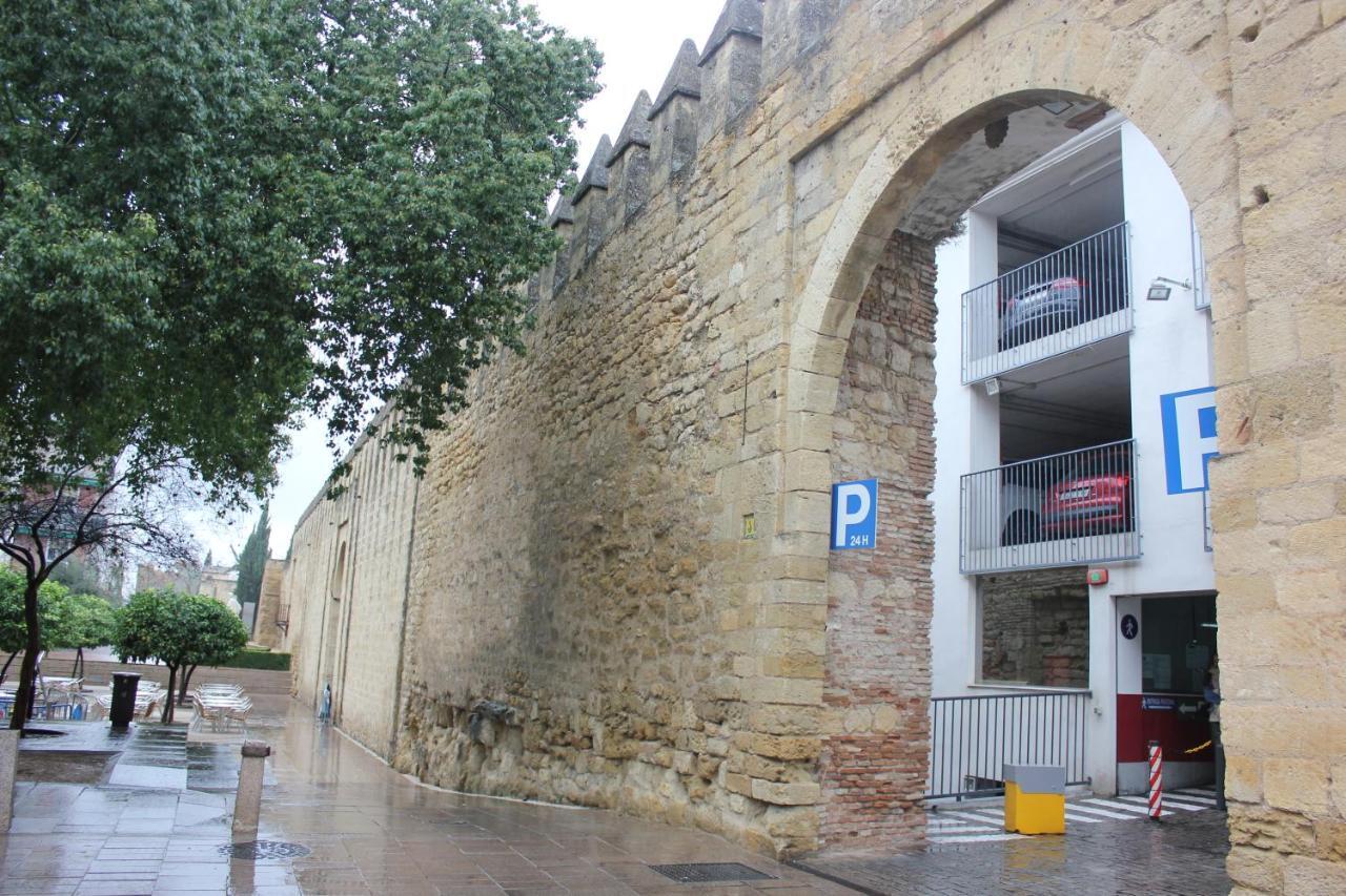 コルドバLoft Turistico En Casco Historico, Wifi Y Tv Satelite Gratisアパートメント エクステリア 写真